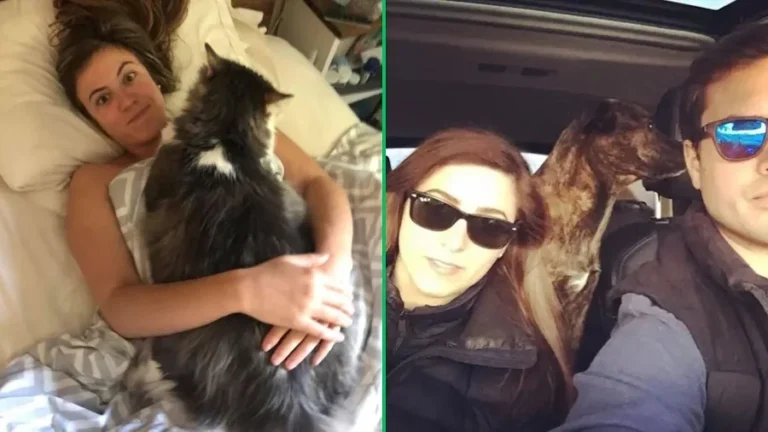 Big Cat Wife: Lady Cat Unveiled